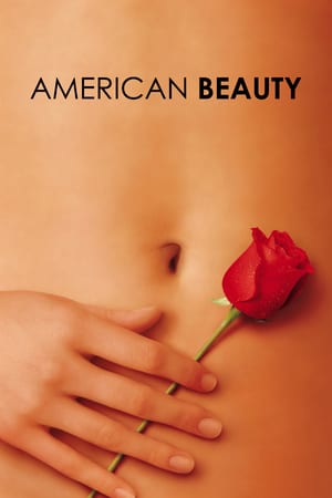 American Beauty (Hindi Dubbed)