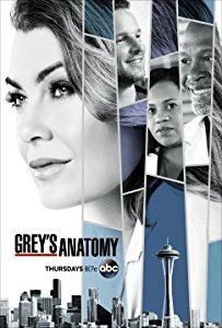 Grey's Anatomy - Season 14