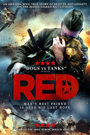 Red Dog